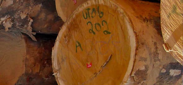 Madeireira Giomar - madeira certificada
